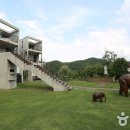 까사모로 이미지