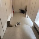 씨유혁신우미린점 | 동탄 예당마을우미린제일풍경채 인테리어 3개월만에 재시공? 퍼플렉스 P30으로 악취와 변색 종결