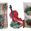 달성토성마을 협동조합 이미지