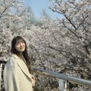 상대원1동 행정복지센터 이미지