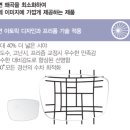 눈사랑 안경원 이미지