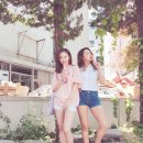 다솜 이미지