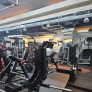 바디트리연구소 이미지
