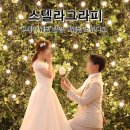 강남-215 | 스텔라그라피: 간편하고 빠른 세미 웨딩 촬영 후기 (강남구청역)