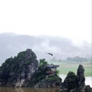 미르약국 이미지