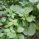 동향농장 이미지