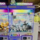 대박 뽑기방 이미지