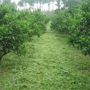 상예동-7 이미지