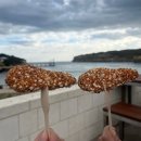 (주)로드종합건설 | 시드니/멜번 8박10일(6) | 마이리얼트립 조이투어 그레이트오션로드 투어 후기, 드래곤 핫팟 마라탕 존맛