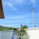 플러피 애견 풀빌라 이미지