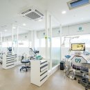 라이프 치과기공소 네이버블로그