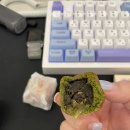 닥터찬의찌개백반전농점 이미지