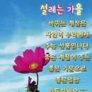 삶님! 반갑습니다 이미지