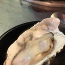 수원 호매실 해물포차 석화찜 내돈내산 후기 제철 해산물 찐맛집 추천