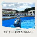 도그스타 | 안성 원더풀도그베이 강아지 수영장 다녀온 반려인 솔직 후기 드림