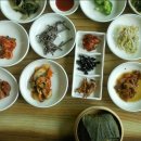 구수골농장 Daum카페