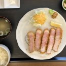 우재카츠 이미지