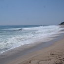 울진농업협동조합 죽변지점 이미지