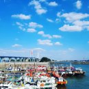 목섬농장 이미지