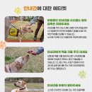 주식회사 해담은 이미지
