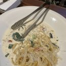 알베로 | 양평 애견동반 맛집 레스토랑 알베로 후기