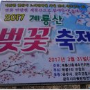 계룡산동학사스타 이미지