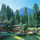 숲골프펜션 이미지