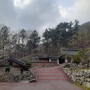 동곡초 이미지
