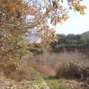 무돌길쉼터 이미지