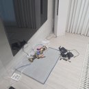 고덕국제신도시 헤스티블 네이버블로그