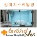 그랜드벳동물병원 이미지