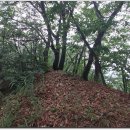 도대1리 마을회관 이미지