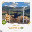 연다원 | 고창에 이런 카페가? 녹차밭이 펼쳐진 '연다원' 솔직 후기