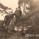 윗반고개마을 이미지