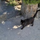 대천자동차공업사 이미지