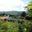 평창숲펜션 이미지