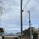 세바의 오두막 | 2월의 제주🌳🌳🌳 - 카페세바/우진해장국