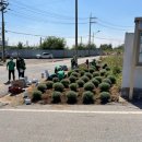 고덕면행정복지센터 이미지