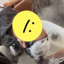 헤드미용
