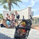 호텔리얼 이미지