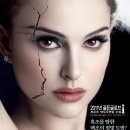 블랙스완 카카오 검색결과