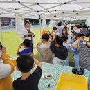 여수남초등학교 이미지