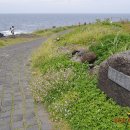 마라도 재활용 도움센터 이미지