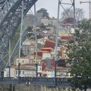 1452 | 터키항공 포르투-이스탄불-인천 TK1452/TK90 기내식, 탑승후기