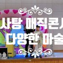 화성장안초등학교 | 화성 초등학교에서 출장 마술콘서트를 진행 했어요(후기)