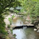 야외족구장 | [장안대관령] 기장 장안사 계곡식당 오리고기 맛집 방문후기 (방갈로/ 야외테이블/ 족구장)