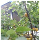 당산농장 이미지