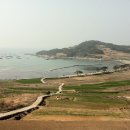 청산도 느림민박 이미지