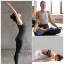 빈야사요가 초급반 이미지