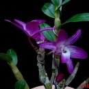 후암농장 이미지